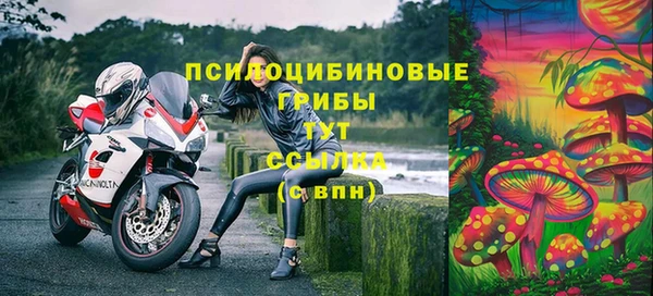 эйфоретик Туринск