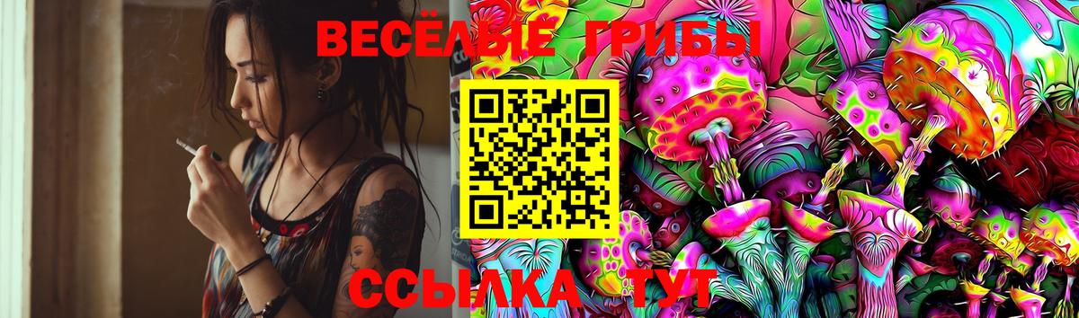 Галлюциногенные грибы Magic Shrooms Ставрополь