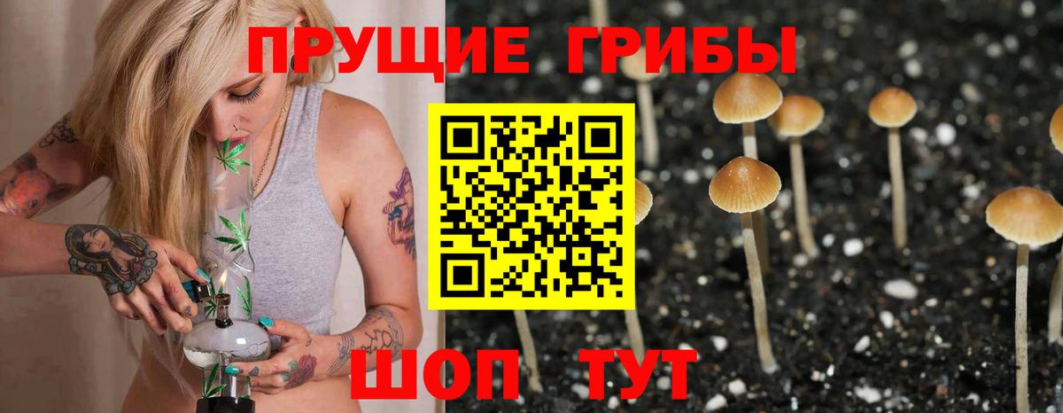 Псилоцибиновые грибы мухоморы  Вход с VPN  Ставрополь 